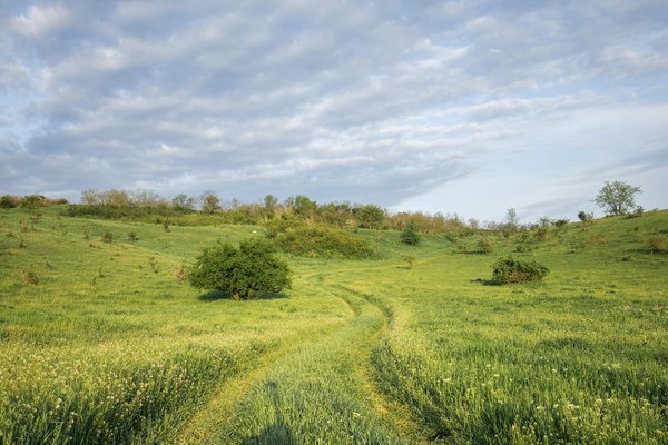 Quels sont les conseils pour une randonnée sur le sentier de GR20 en Corse, France ?